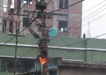 Fire new barganda