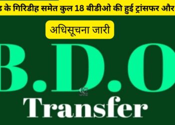 BDO Transfer