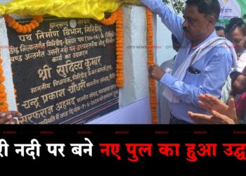 Naya pul Udghatan
