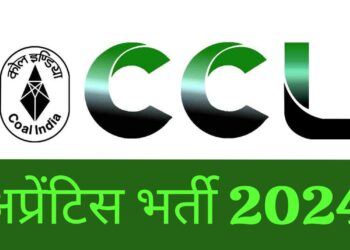 ccl job 2024