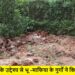 shastrinagar bhumafiya hamla