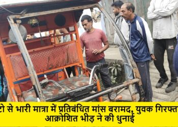 toto chalak