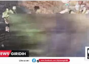 sihodih yuvak