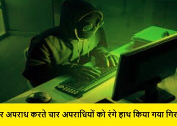 cyber crimnal arrest