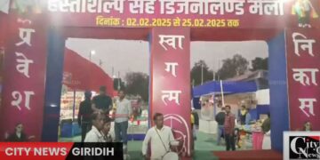 Handicraft fair cum Disneyland fair inaugurated at Jhanda Maidan, products from across the country available in 75 stalls