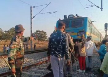 jamua train