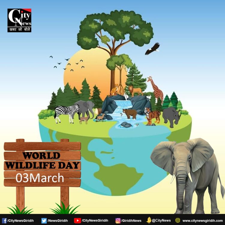 world wildlife day