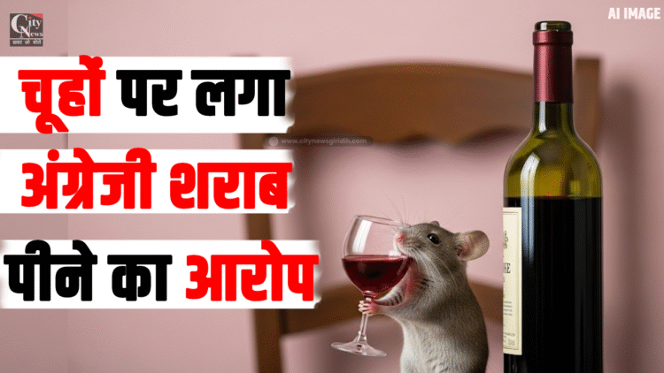Rats accused of drinking foreign liquor