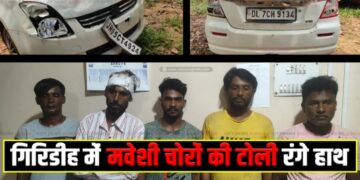 Ahilyapur maveshi chor
