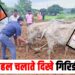 kheto mein hal chalate dikhe giridih dc