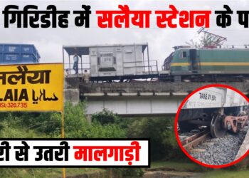 salaiya station me patri se utri train