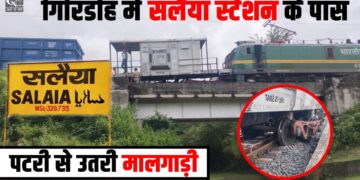 salaiya station me patri se utri train