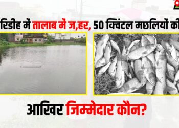 giridih me talab me jahar dalane se machhliyo ki mout