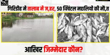 giridih me talab me jahar dalane se machhliyo ki mout