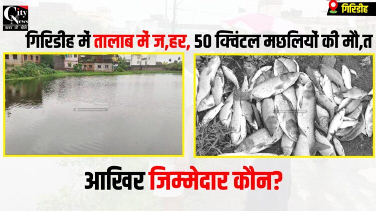 giridih me talab me jahar dalane se machhliyo ki mout