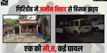 sariya jameen vivad