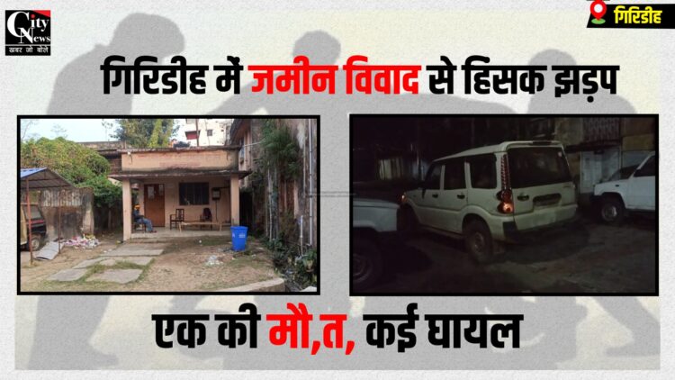 sariya jameen vivad