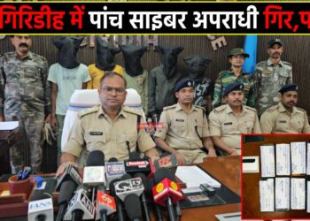 5 Cyber Criminal Arrested