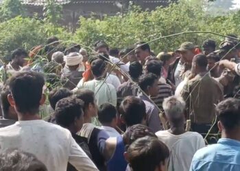 Shobha Yatra Pathharbazi