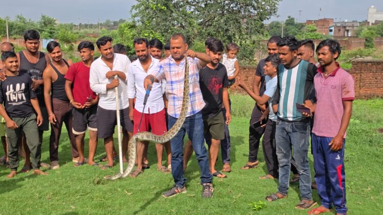 Azgar Dhariyadih