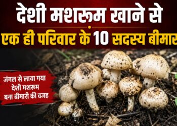 desi mushroom food poisioning