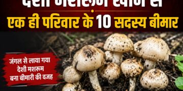 desi mushroom food poisioning