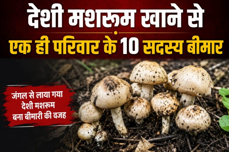 desi mushroom food poisioning