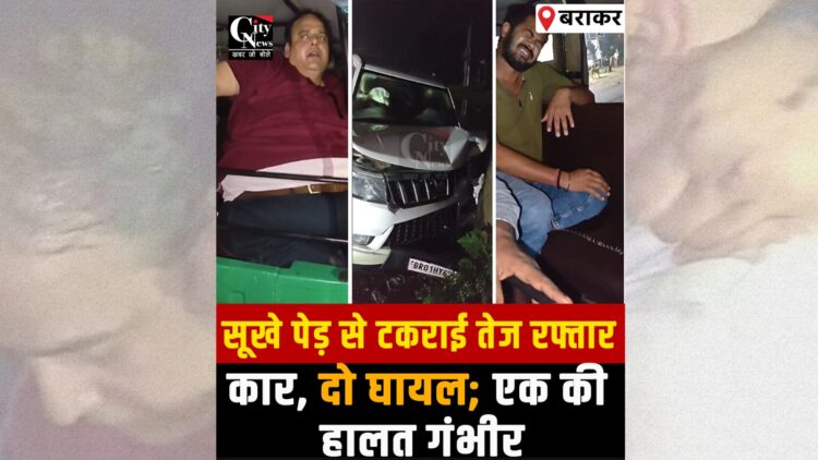 High-speed car crashes into dry roadside tree on Giridih-Dumri road.