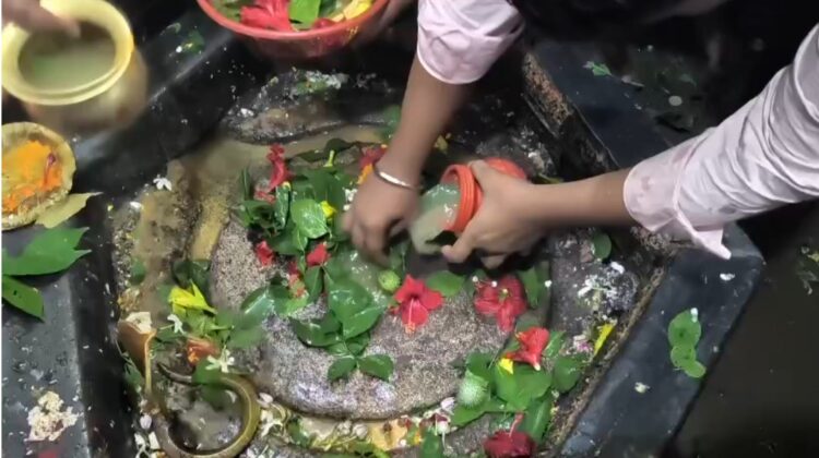 sawan somwari dukhharan nath dham