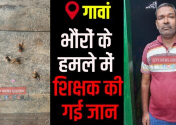 Government teacher Devendra Singh, who died after a hornet swarm attack in Tilaiya forest, Gawan.