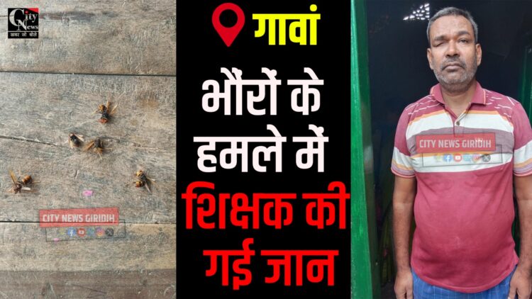 Government teacher Devendra Singh, who died after a hornet swarm attack in Tilaiya forest, Gawan.