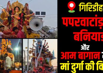 Devotees bid farewell to Maa Durga amid drums, prayers and traditions.