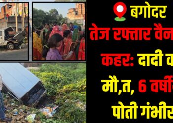 Speeding van kills grandmother, critically injures granddaughter in Bagodar road accident.